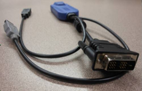 Digital DVI-D, USB CIM required for virtual media (BIOS access), absolute mouse synchronization